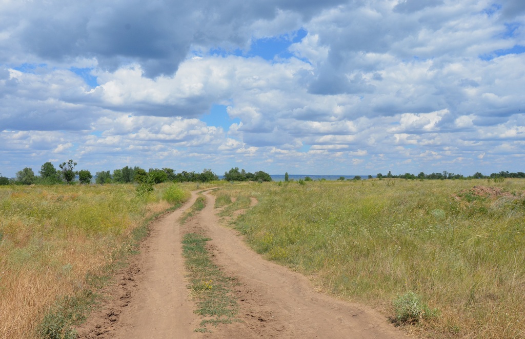 Дорога в детство Дорога в детство